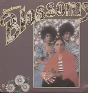 The Blossoms - Shockwave