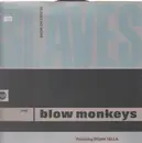 12inch Vinyl Single - The Blow Monkeys Featuring Sylvia Tella - Slaves No More