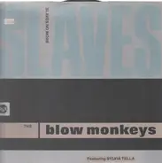 The Blow Monkeys Featuring Sylvia Tella - Slaves No More