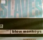 The Blow Monkeys Featuring Sylvia Tella - Slaves No More