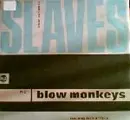 12inch Vinyl Single - The Blow Monkeys - Slaves No More