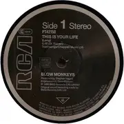 12inch Vinyl Single - The Blow Monkeys - This Is Your Life