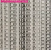 7inch Vinyl Single - The Blow Monkeys - This Is Your Life