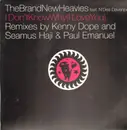 12'' - The Brand New Heavies feat. N'Dea Davenport - I Don't Know Why (I Love You) - PROMO