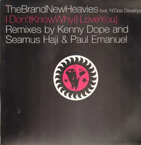The Brand New Heavies - I Don't Know Why