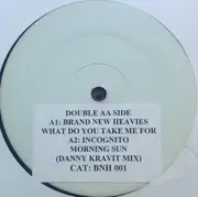 12inch Vinyl Single - The Brand New Heavies / Incognito - What Do You Take Me For / Morning Sun
