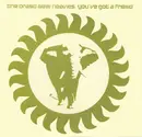 2 x 12inch Vinyl Single - The Brand New Heavies - You've Got A Friend