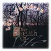 CD - The Breath Of Life - Lost Children - Cardboard Sleeve