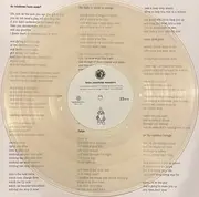 LP - The Brian Jonestown Massacre - The Future Is Your Past - 180g Clear Vinyl