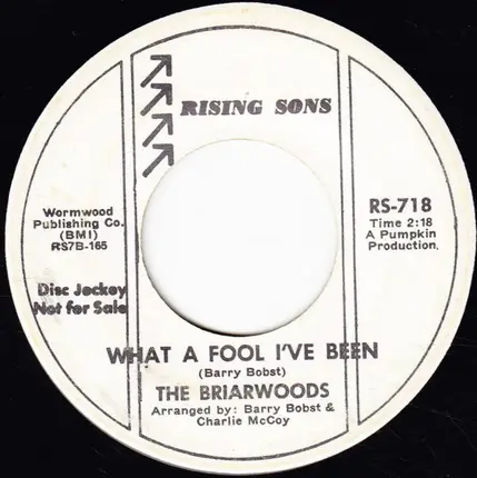 The Briarwoods - Woman, Play Your Music / What A Fool I've Been