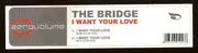 12inch Vinyl Single - The Bridge - I Want Your Love