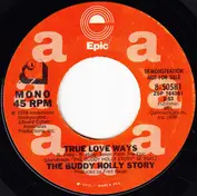 The Buddy Holly Story