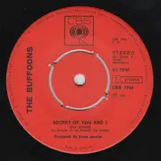 7inch Vinyl Single - The Buffoons - Secret Of You And I