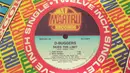 12inch Vinyl Single - The Buggers - Skies The Limit