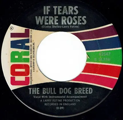 The Bull Dog Breed - Sweetie Pie
