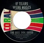 Bulldog Breed - Sweetie Pie