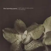 The Burning Paris - Half​-​Truths & Indiscretions (The Anthology)