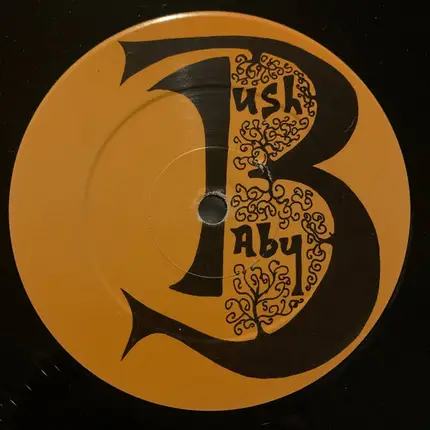 The Bush Boys Featuring Pisces - Not Tonight