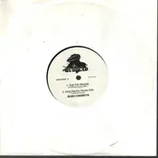 The Bush Chemists - Dub Fire Blazing