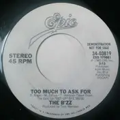 The B'zz - Too Much To Ask For
