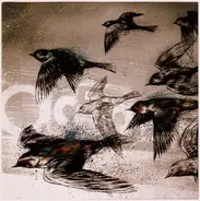 The Gold Medalists - The City Lights Us On Fire