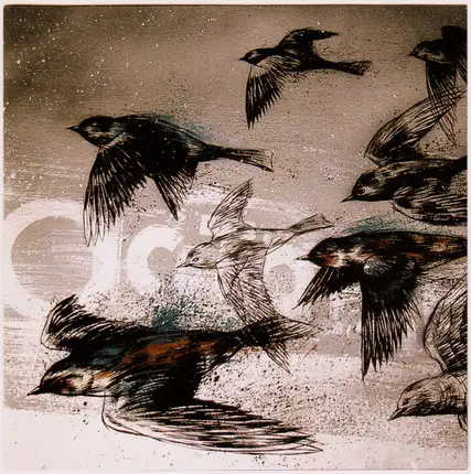 The Gold Medalists - The City Lights Us On Fire