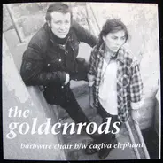 The Goldenrods - Barbwire Chair