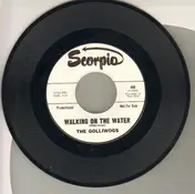 The Golliwogs - Walking On The Water / You Better Get It Before It Gets You