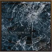 Goodwill - Insult, Injury, Etc...