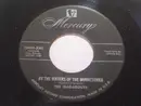 7inch Vinyl Single - The Gadabouts - By The Waters Of The Minnetonka / Guiseppe Mandolino