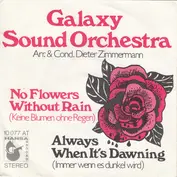 The Galaxy Sound Orchestra