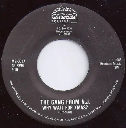 The Gang From N.J. / Stewart Brodian - Why Wait For Christmas?
