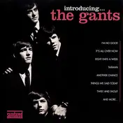 The Gants - Introducing...