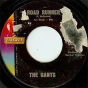 The Gants - Road Runner / My Baby Don't Care