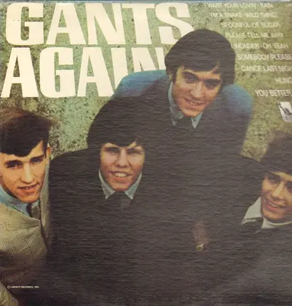 The Gants - Gants Again