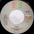 7inch Vinyl Single - The Gems - Flashpoint