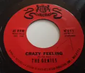 The Genies - Crazy Feeling