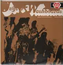 LP - The Georgia Washboard Stompers & The Alabama Jug Band - Jugs & Washboards