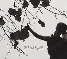 The Grand Opening - Beyond the Brightness
