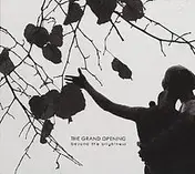 The Grand Opening - Beyond the Brightness