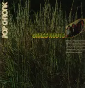 Double LP - The Grass Roots - Pop Chronik - Booklet