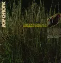 Double LP - The Grass Roots - Pop Chronik - Booklet