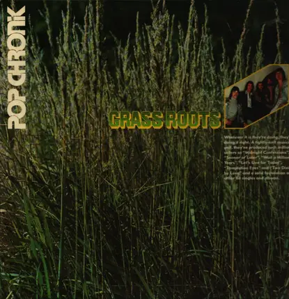 The Grass Roots - Pop Chronik