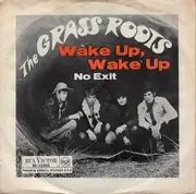 7inch Vinyl Single - The Grass Roots - Wake Up, Wake Up