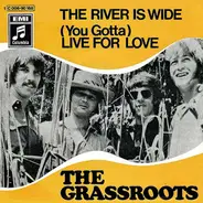 The Grass Roots - The River Is Wide