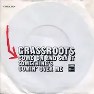 The Grass Roots - Come On And Say It