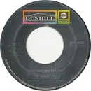 7inch Vinyl Single - The Grass Roots - Two Divided By Love