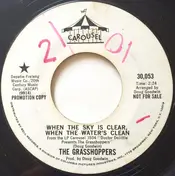 Grasshoppers - When The Sky is Clear, When The Water's Clean / You Can Really Fly