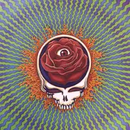 The Grateful Dead - Winterland 1973 - The Complete Recordings