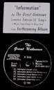 12inch Vinyl Single - The Great Unknown - Information